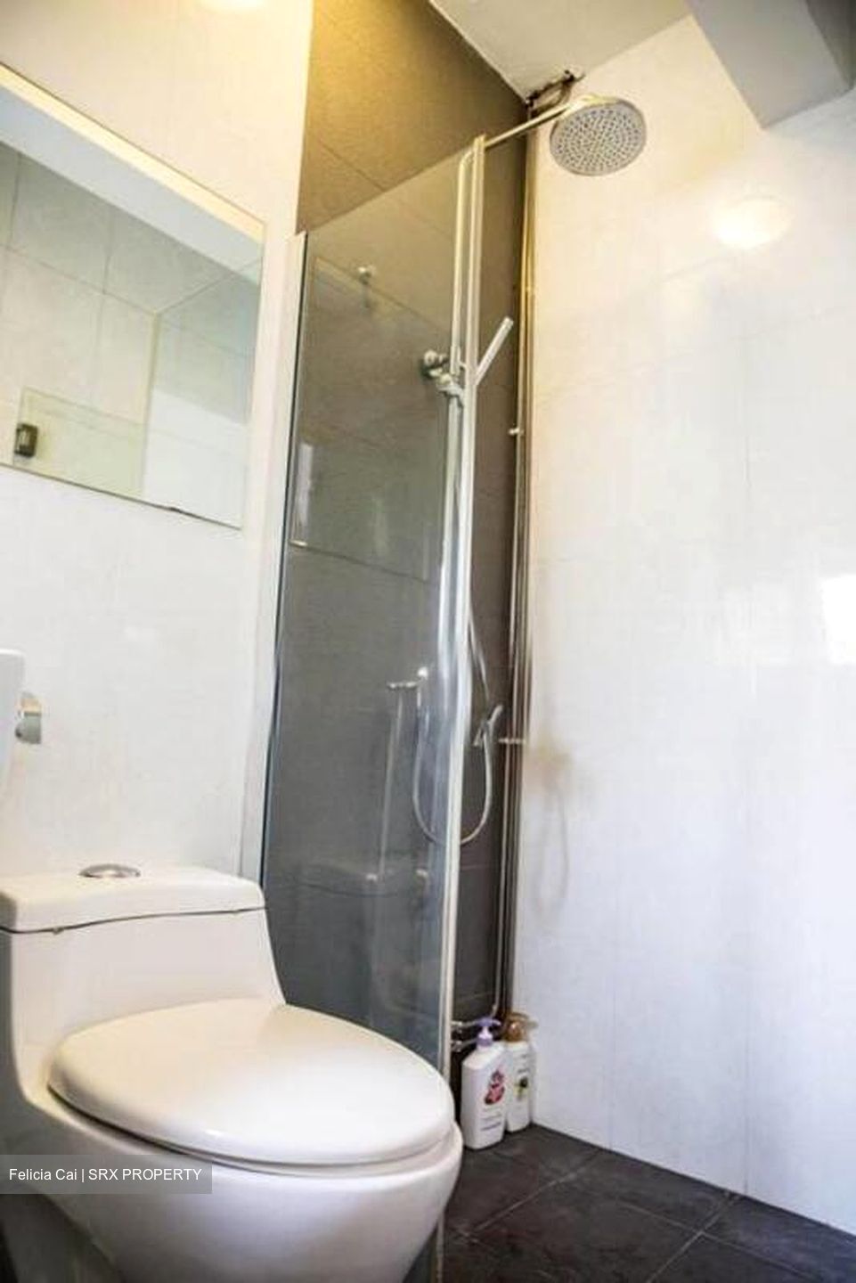 Zion Road (D10), Apartment #524386461